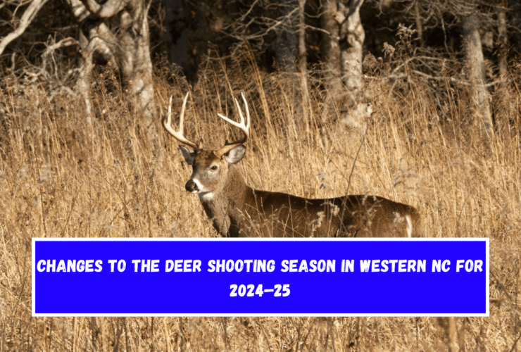 Changes to the deer shooting season in Western NC for 2024–25