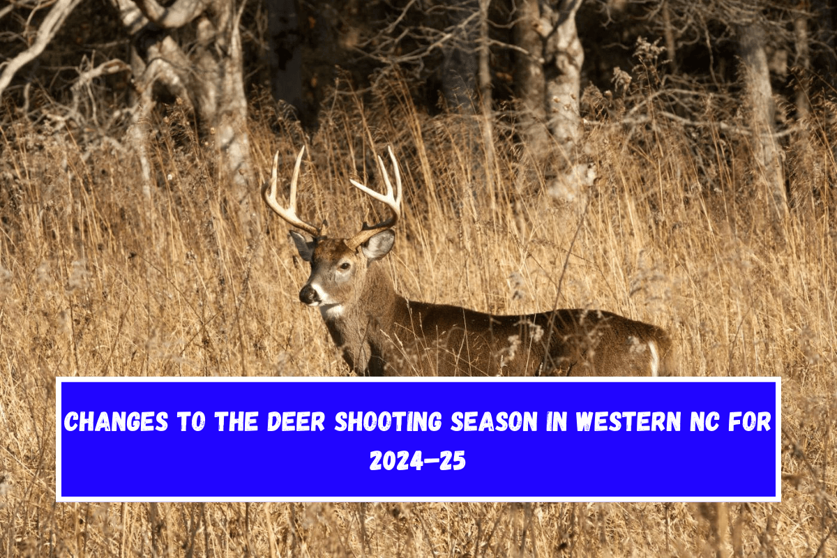 Changes to the deer shooting season in Western NC for 2024–25