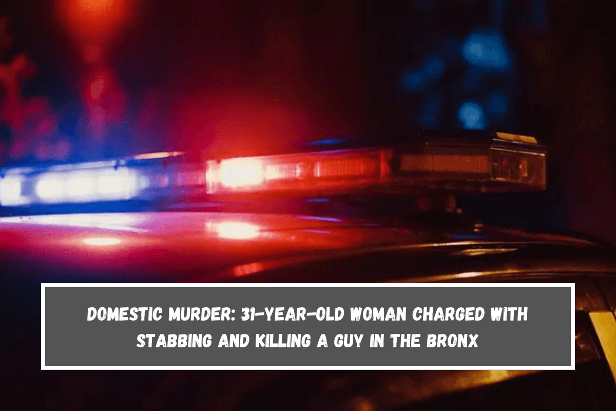 DOMESTIC MURDER 31-year-old woman charged with stabbing and killing a guy in the Bronx