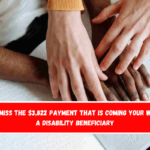 Don't miss the $3,822 payment that is coming your way as a disability beneficiary