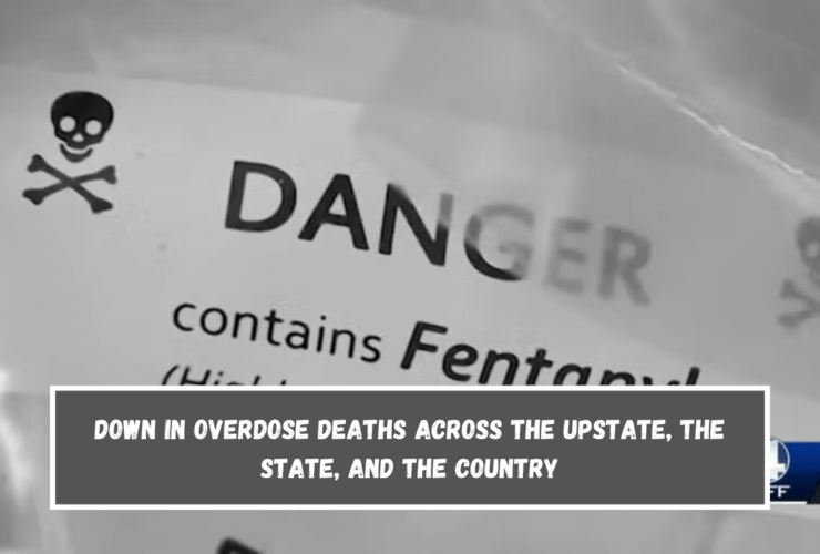 Down in overdose deaths across the Upstate, the state, and the country