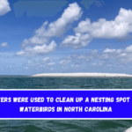 Filters were used to clean up a nesting spot for waterbirds in North Carolina