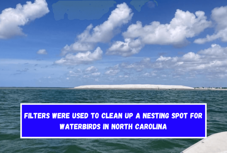 Filters were used to clean up a nesting spot for waterbirds in North Carolina