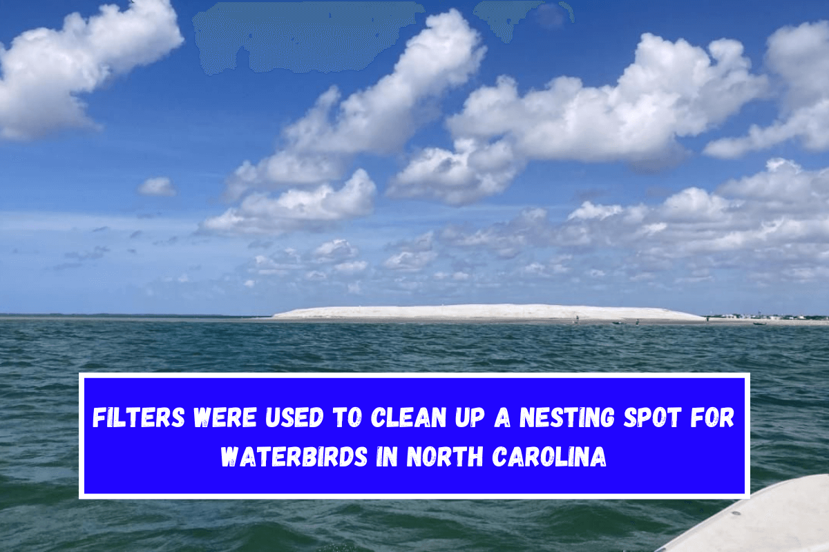 Filters were used to clean up a nesting spot for waterbirds in North Carolina