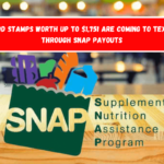 Food Stamps worth up to $1,751 are coming to Texas through SNAP payouts