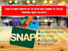 Food Stamps worth up to $1,751 are coming to Texas through SNAP payouts