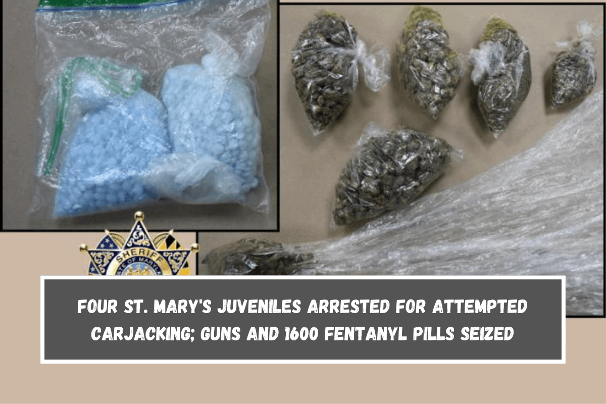 Four St. Mary's juveniles arrested for attempted carjacking; guns and 1600 fentanyl pills seized