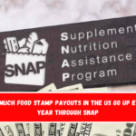 How much Food Stamp payouts in the US go up every year through SNAP