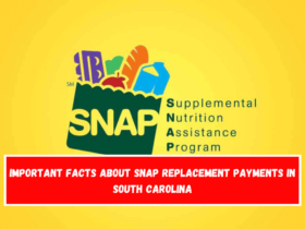 Important facts about SNAP replacement payments in South Carolina