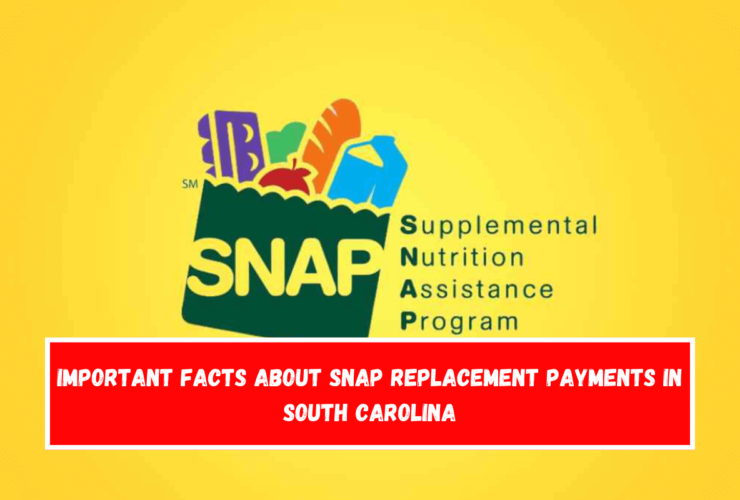 Important facts about SNAP replacement payments in South Carolina