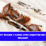 Insect Invasion 5 Florida Cities Combatting Bed Bug Onslaught