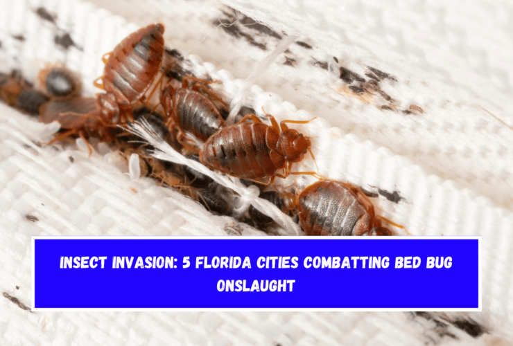 Insect Invasion 5 Florida Cities Combatting Bed Bug Onslaught