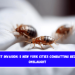 Insect Invasion 5 New York Cities Combatting Bed Bug Onslaught