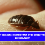 Insect Invasion 5 Pennsylvania Cities Combatting Bed Bug Onslaught