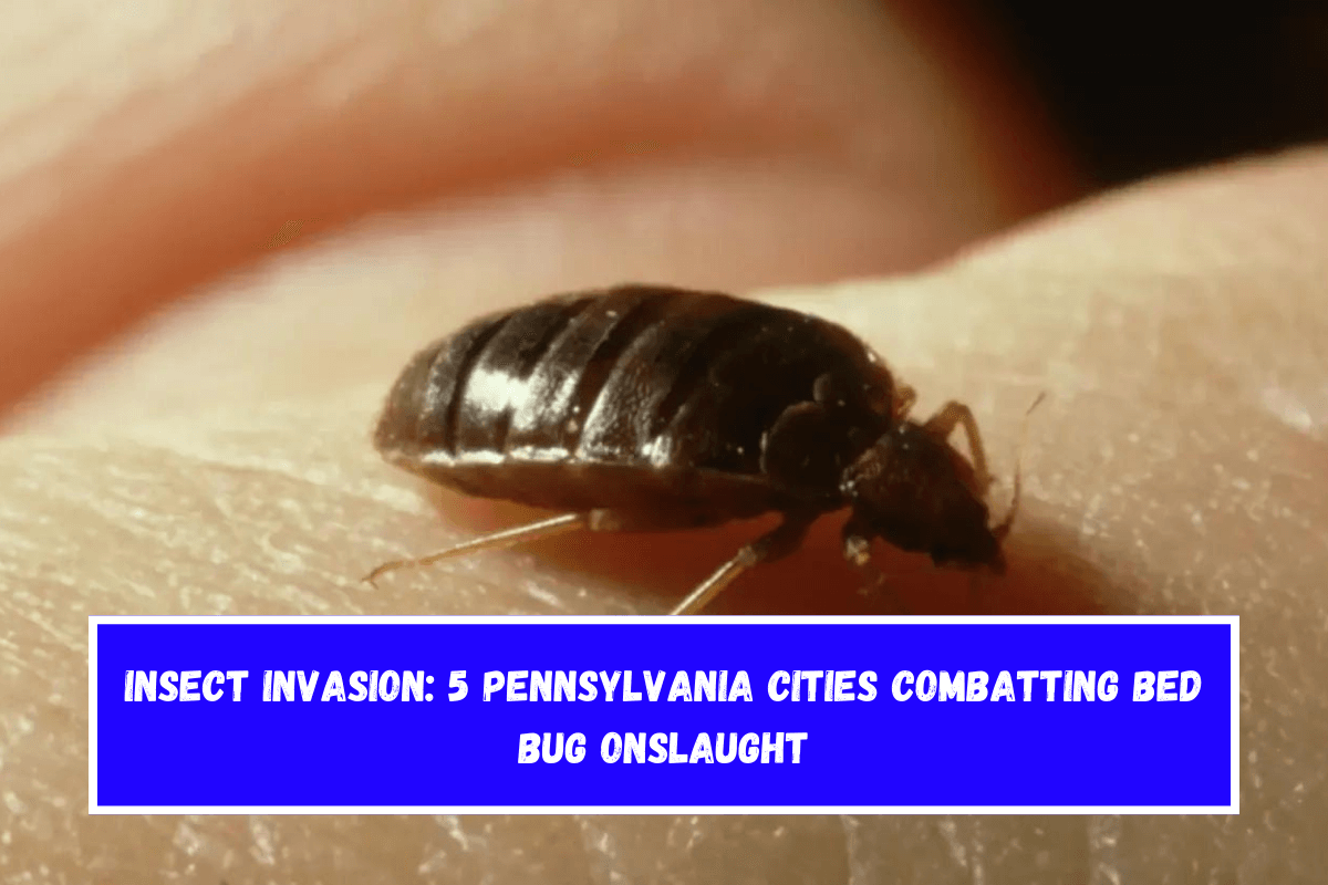 Insect Invasion 5 Pennsylvania Cities Combatting Bed Bug Onslaught