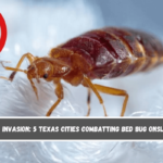 Insect Invasion 5 Texas Cities Combatting Bed Bug Onslaught