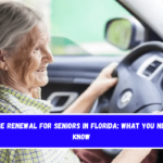 License Renewal for Seniors in Florida What You Need to Know