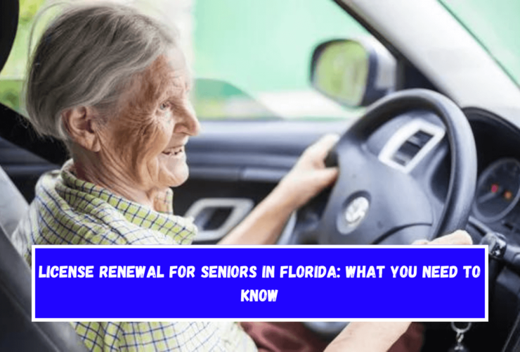 License Renewal for Seniors in Florida What You Need to Know