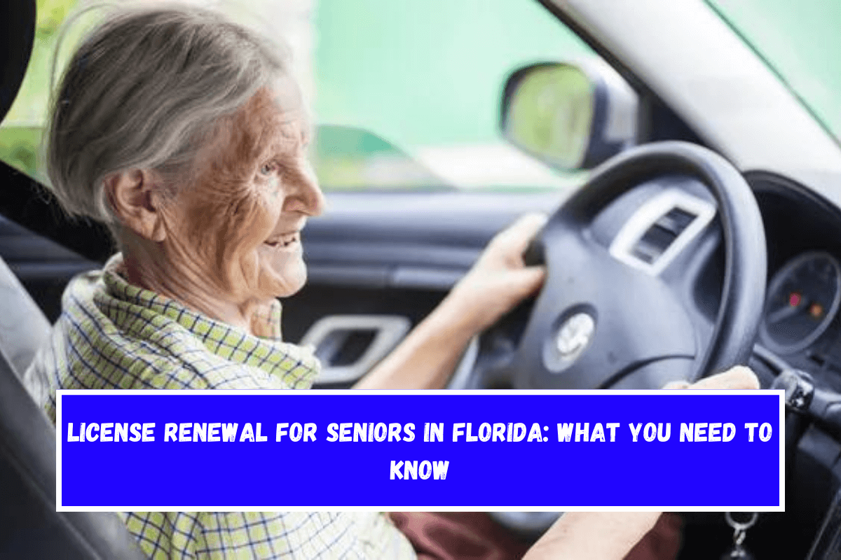 License Renewal for Seniors in Florida What You Need to Know