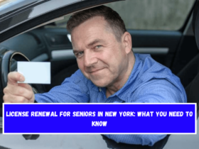 License Renewal for Seniors in New York What You Need to Know