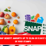 New SNAP benefit amounts Up to $3,516 in 11 days' worth of food stamps