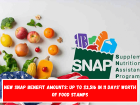 New SNAP benefit amounts Up to $3,516 in 11 days' worth of food stamps