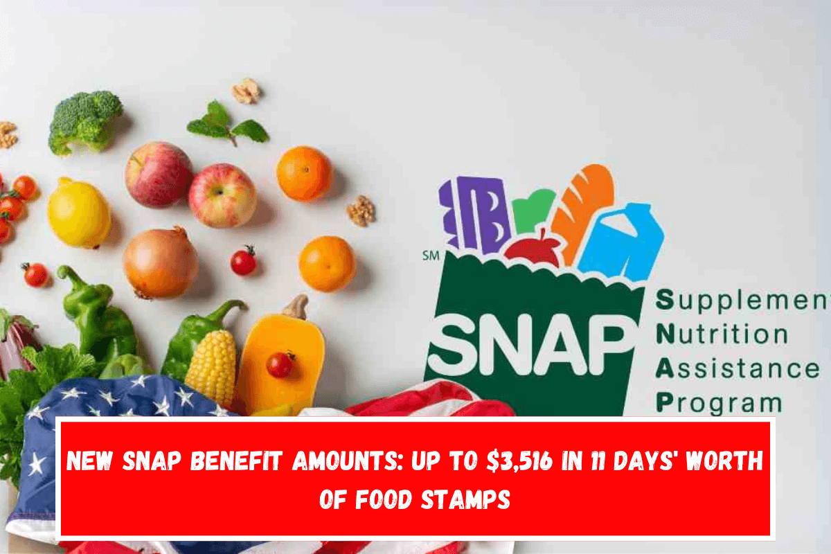 New SNAP benefit amounts Up to $3,516 in 11 days' worth of food stamps