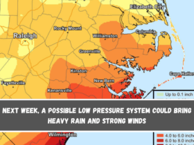 Next week, a possible low pressure system could bring heavy rain and strong winds