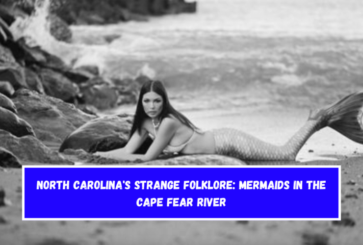 North Carolina's Strange Folklore Mermaids in the Cape Fear River