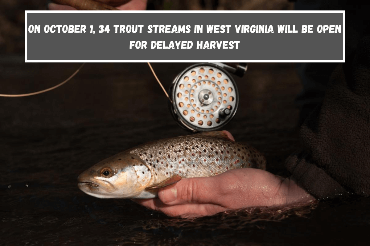 On October 1, 34 trout streams in West Virginia will be open for delayed harvest