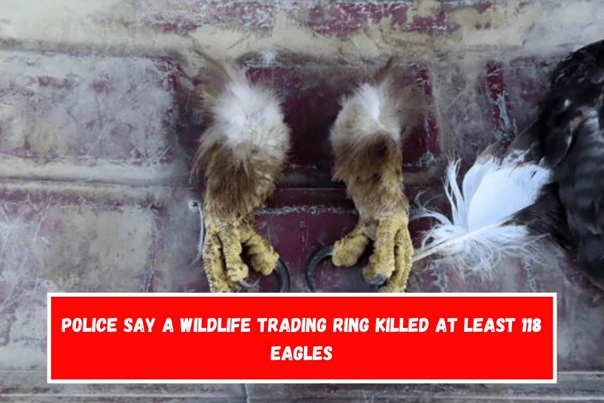 Police say a wildlife trading ring killed at least 118 eagles