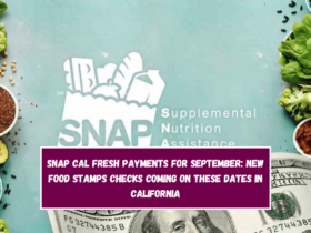 SNAP Cal Fresh payments for September: New Food Stamps checks coming on these dates in California