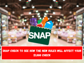 SNAP Check to see how the new rules will affect your $1,000 check