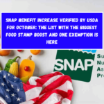 SNAP benefit increase verified by USDA for October The list with the biggest Food Stamp boost and one exemption is here