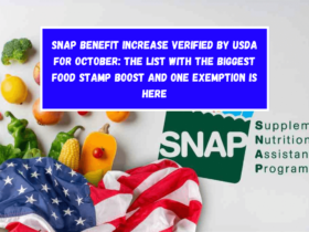 SNAP benefit increase verified by USDA for October The list with the biggest Food Stamp boost and one exemption is here