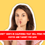 Secret shops in California that sell items from Costco and Target for less