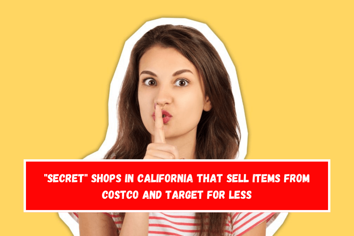 Secret shops in California that sell items from Costco and Target for less