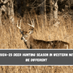 The 2024–25 deer hunting season in Western NC will be different