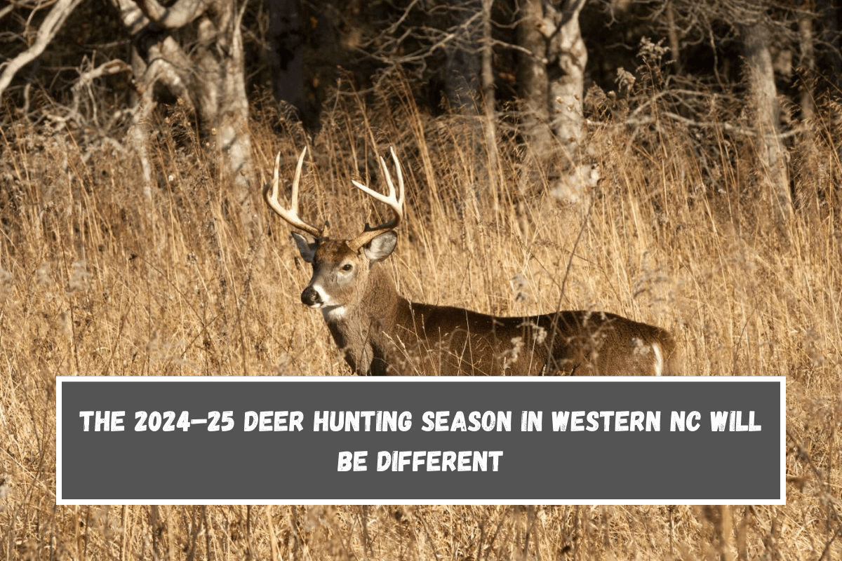 The 2024–25 deer hunting season in Western NC will be different