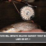 The state will initiate Delayed Harvest Trout Waters laws on Oct. 1