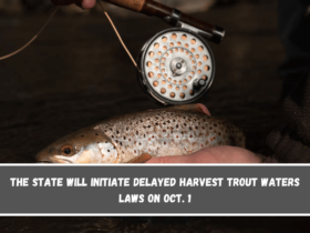 The state will initiate Delayed Harvest Trout Waters laws on Oct. 1