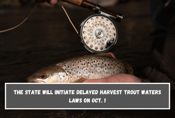 The state will initiate Delayed Harvest Trout Waters laws on Oct. 1