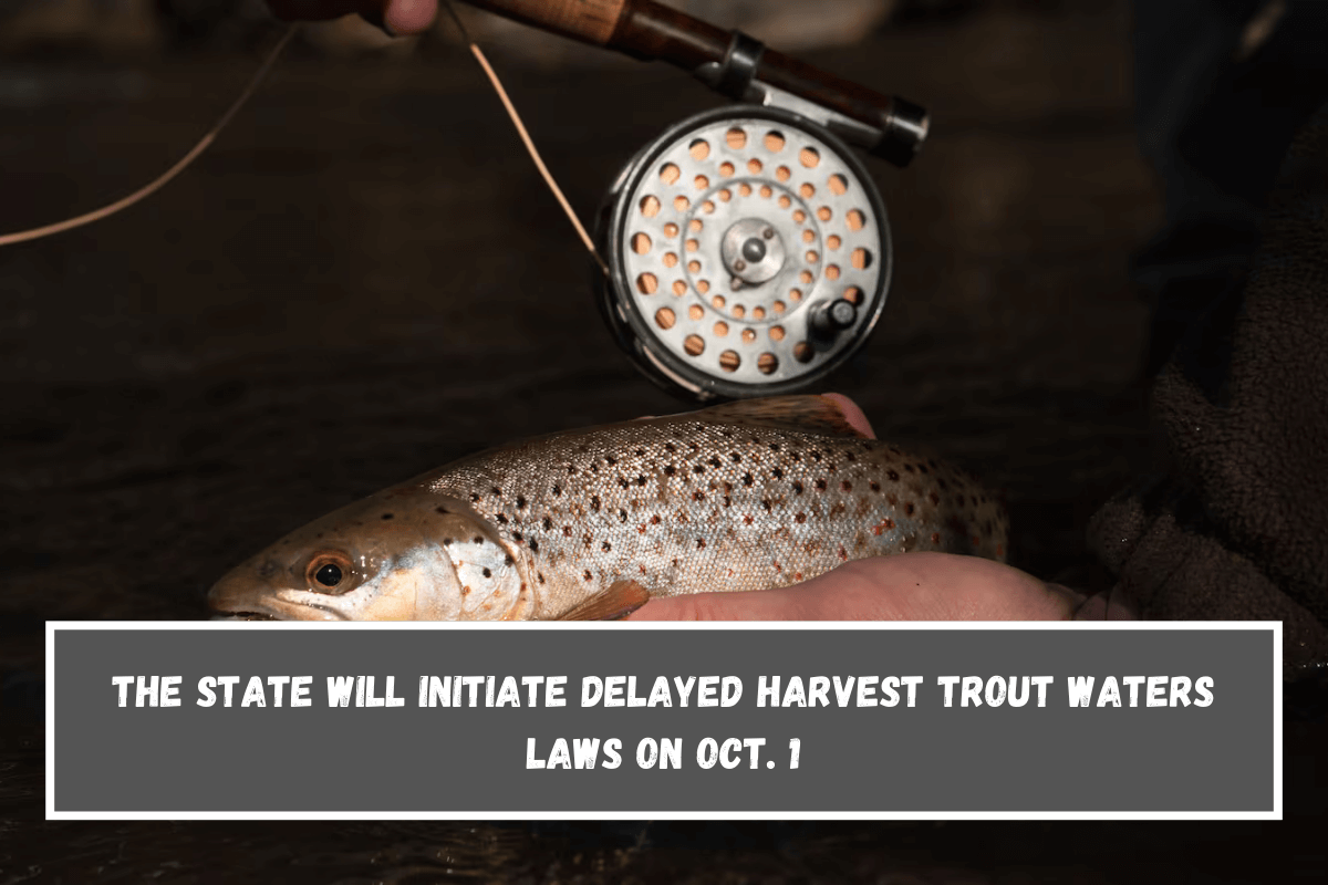 The state will initiate Delayed Harvest Trout Waters laws on Oct. 1