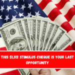 This $1,312 stimulus cheque is your last opportunity