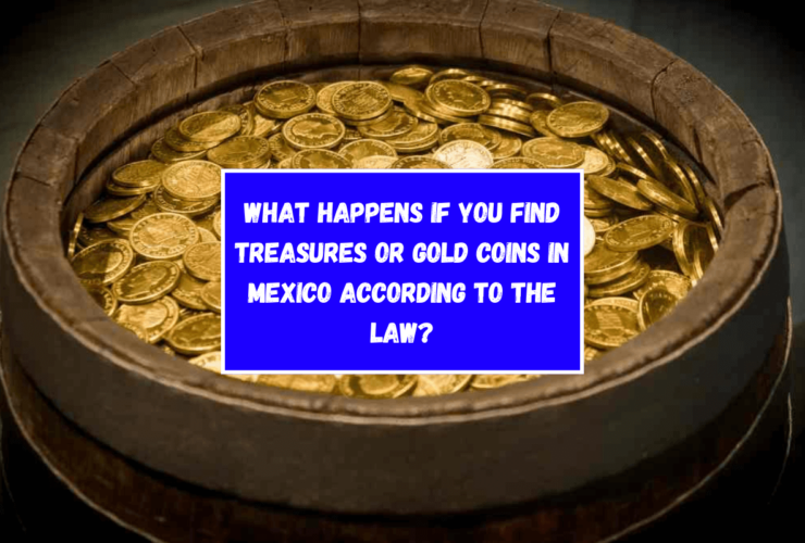 What happens if you find treasures or gold coins in Mexico according to the law?