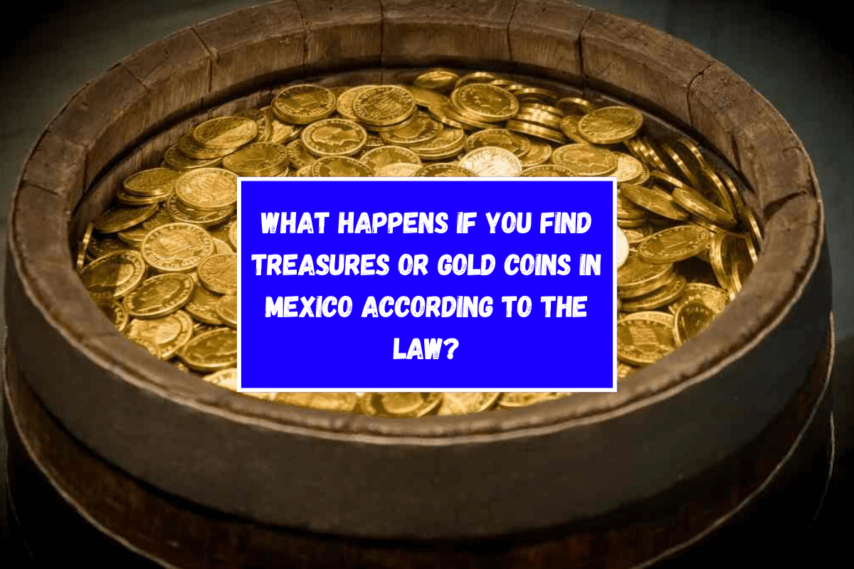 What happens if you find treasures or gold coins in Mexico according to the law?