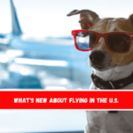 What's new about flying in the U.S.