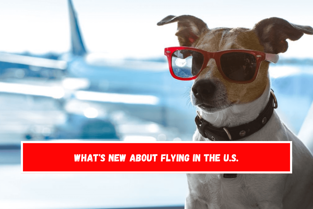 What's new about flying in the U.S.