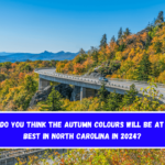 When do you think the autumn colours will be at their best in North Carolina in 2024