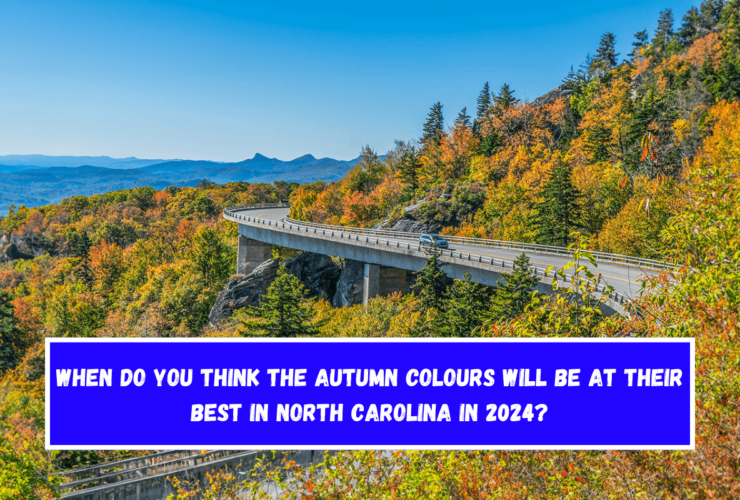 When do you think the autumn colours will be at their best in North Carolina in 2024